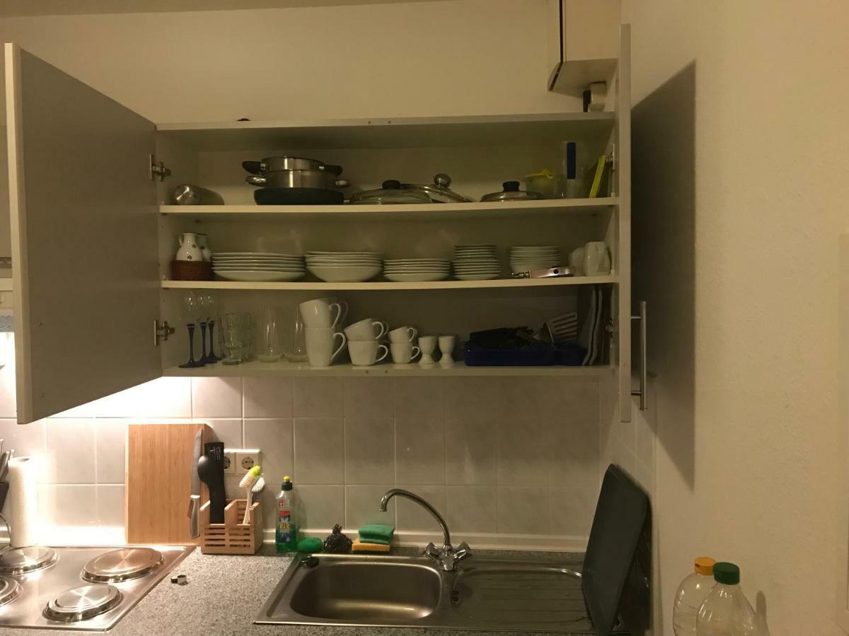 Kleine Wohnung Im Gruenen Дрезден Екстер'єр фото